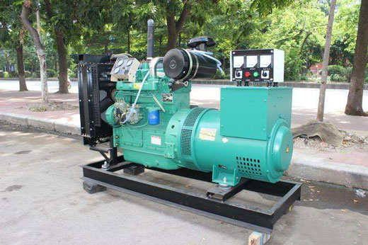 总口管理区发电机不发电的原因